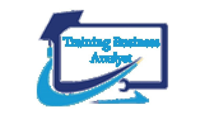Training Business Analyst