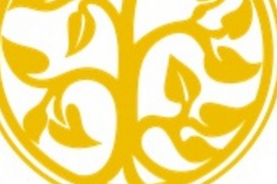 Aromatherapy Safety with Essential Oils