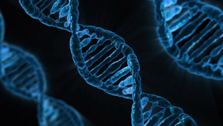 Digital genome a powerful tool for collecting genetic data!