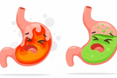 Increasing Prevalence of Gastrointestinal Tract Disease to Bring Bright Opportunities to the Market of Gastrointestinal Stents