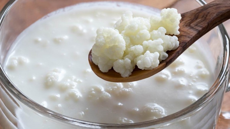 Potential Use of Kefir as an Inhibitor of Expression of Proinflammatory Cytokines in Covid-19 Patients to Augment Growth of Kefir Market