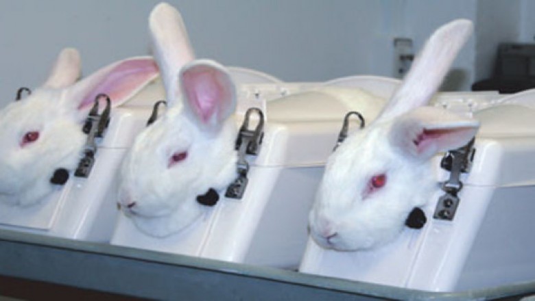 Commercialize Specialized Reagents for Pyrogen Testing To Augment Growth of Pyrogen Testing Market