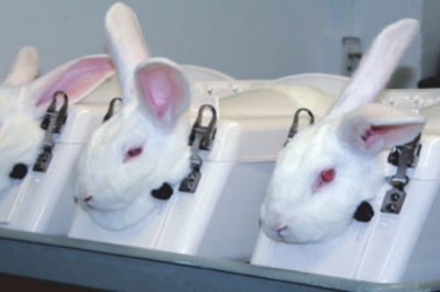 Commercialize Specialized Reagents for Pyrogen Testing To Augment Growth of Pyrogen Testing Market