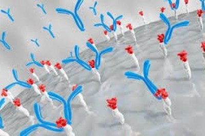 Covid-19 to Offer Lucrative Growth Opportunities for Players in Protein A Resin Market