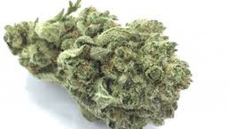 CBD vs. THC | The actual fact