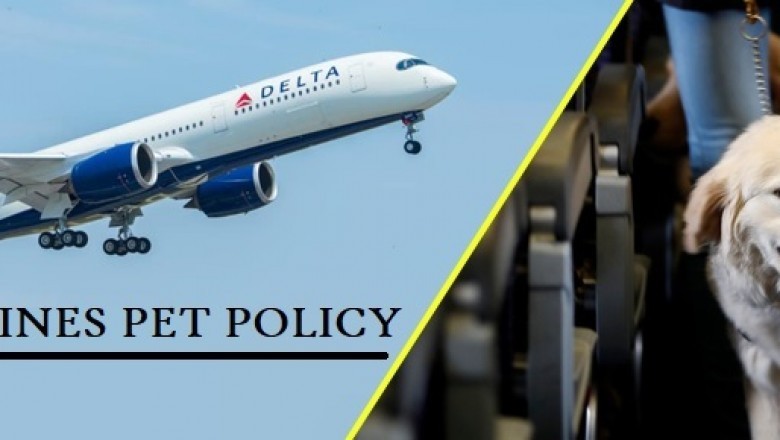 Get 50% Off & Deals Delta Airlines Pet Policy