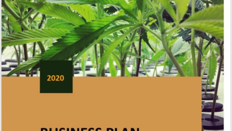 hemp nursery business plan