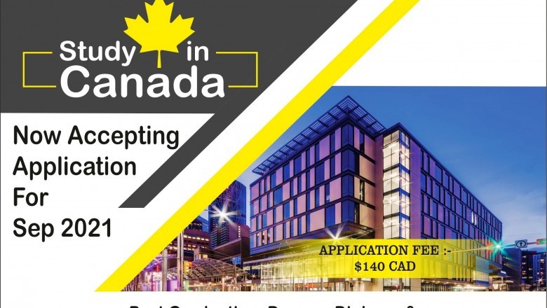 Study Visa Consultants in Dubai | Everest Links Management Consultants