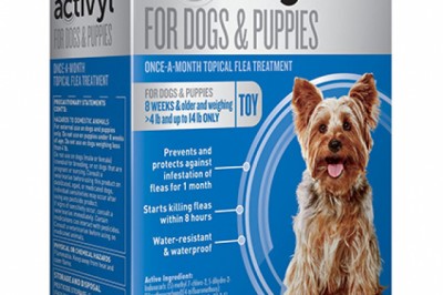 Activil for dog | flea treatment for dogs | petcareclub