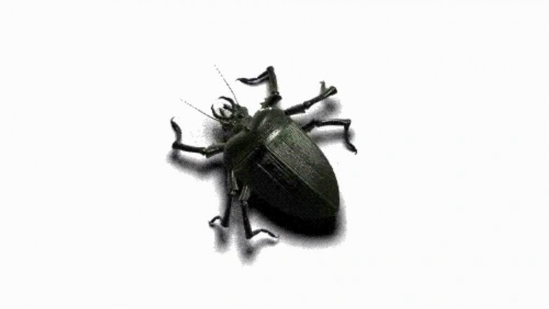 Bed Bug Exterminator Indianapolis