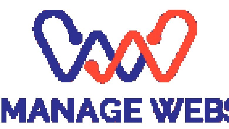 Save time and effort by hiring website management company