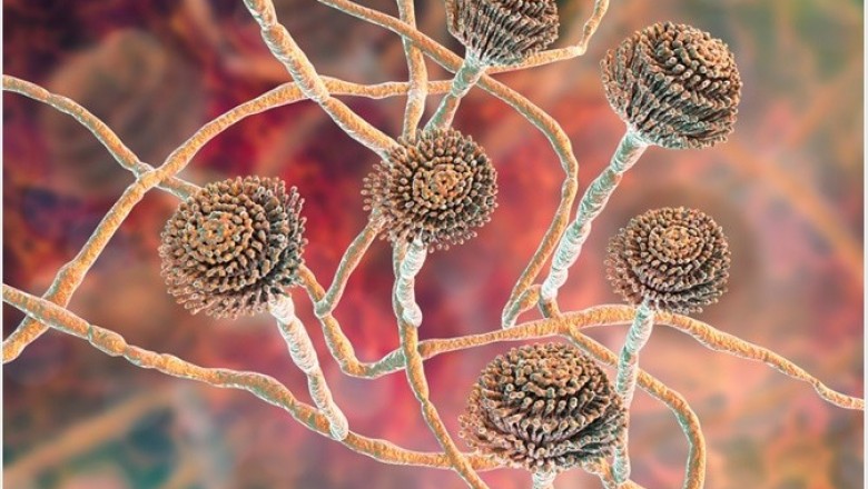 Cathepsin Inhibitors Market Size, Trends, Shares, Insights and Forecast – 2018-2026