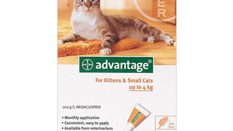 Advantage fleat treatment for cats | Advantage cats | Petcareclub