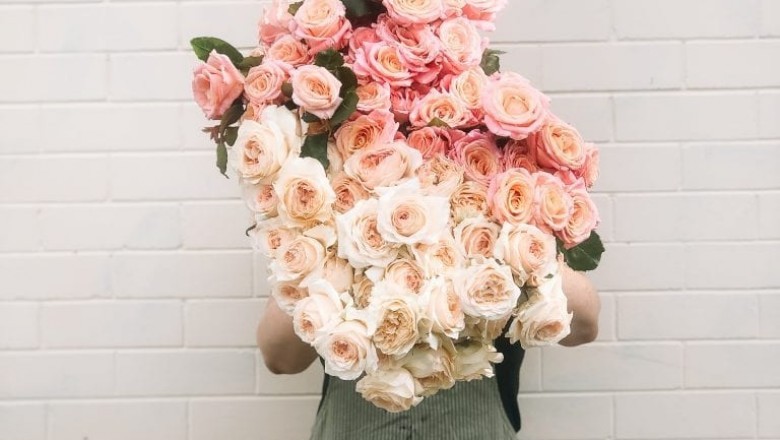 Poppy Rose