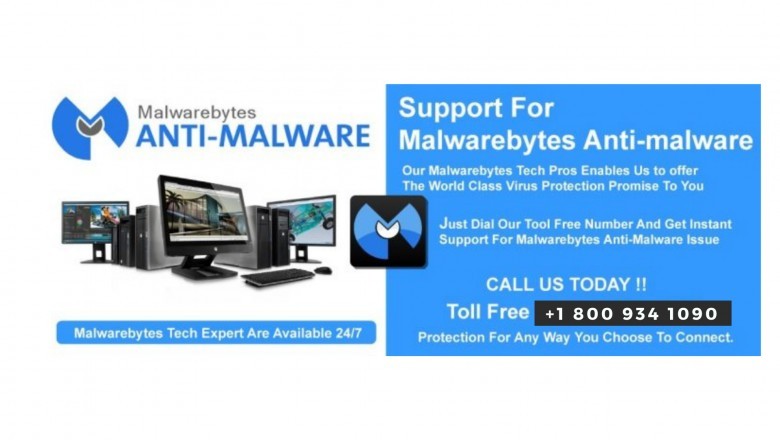 Malwarebytes program error updating host not found
