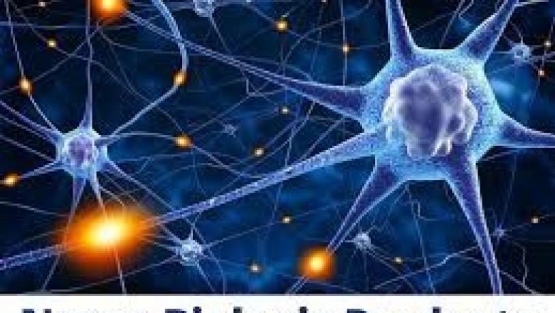 Nerve Biologic Products Market Size Share Trends Forecast 2026
