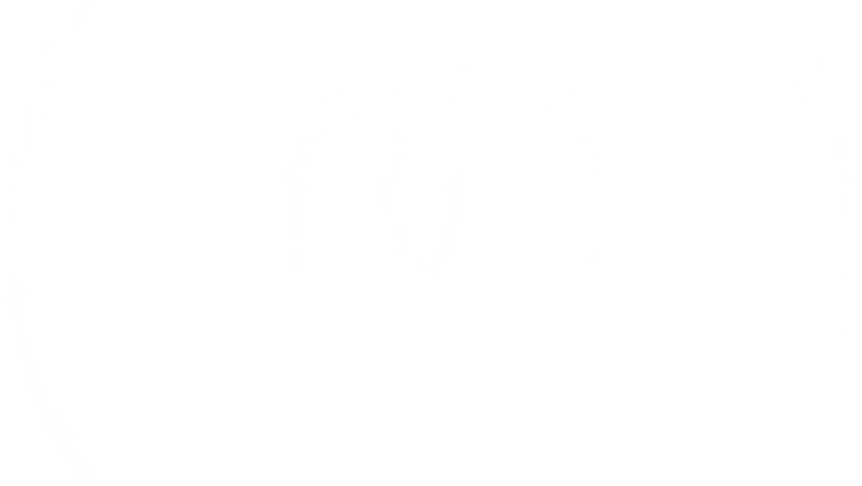 We’re a dedicated studio run by professional Canberra photographers