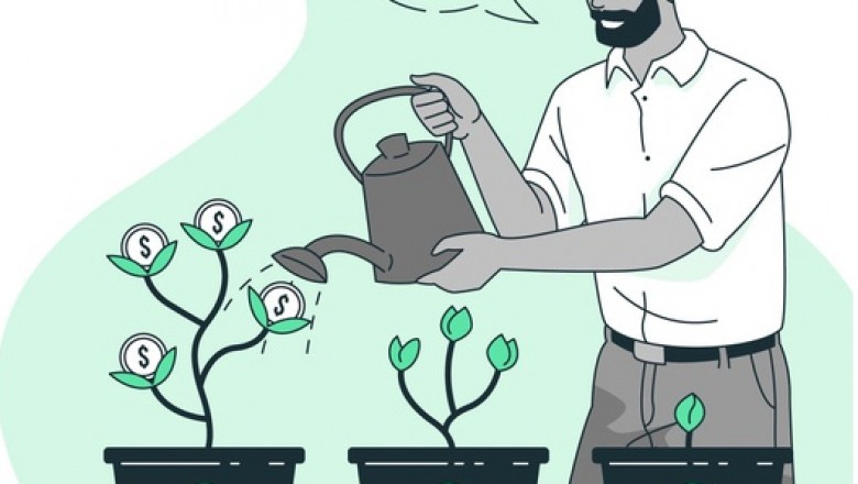 See Fruit-bearing Outcomes by Following SuiteCommerce Guide