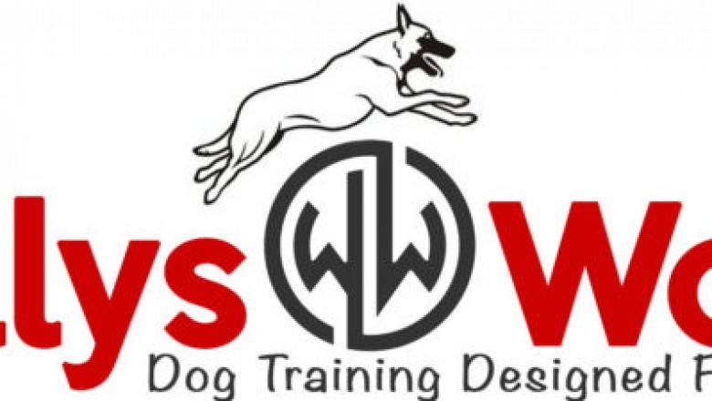 Certified Dog Training in Long Island NY