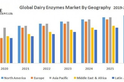 Global Dairy Enzymes Market
