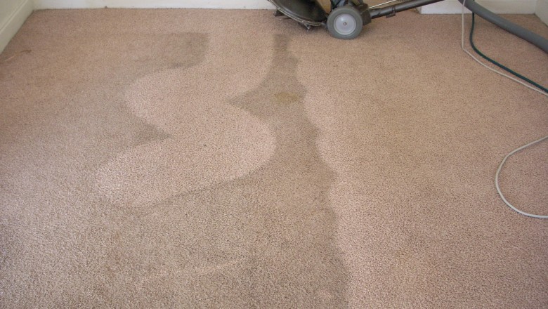 Carpet Cleaning Narangba
