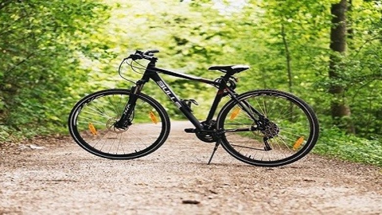 The Global Bicycle Market–Resilient Despite All Round Technological Progress
