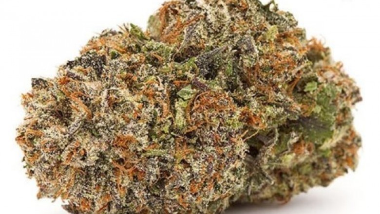 WHY TAKE CBD GUMMIES FOR RELIEF AGAINST Anxiety?