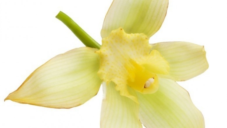 Expanding Expenditure on Personal Care Products and Development of Sustainable Methods to Extract Vanillin to Augment Growth of Vanillin Market