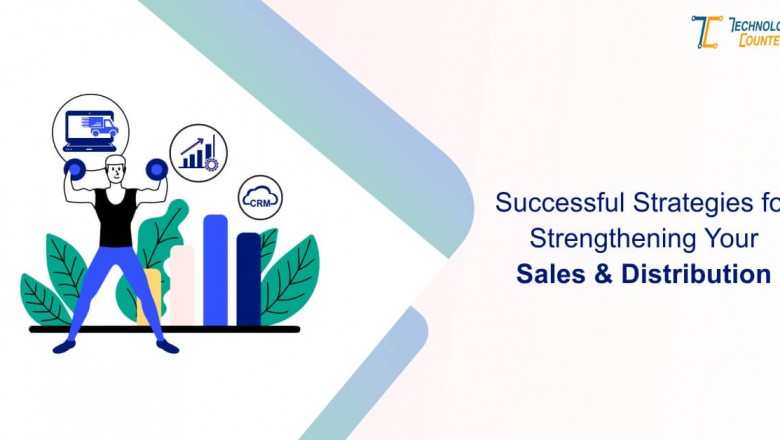 Successful Strategies for Strengthening Your Sales & Distribution