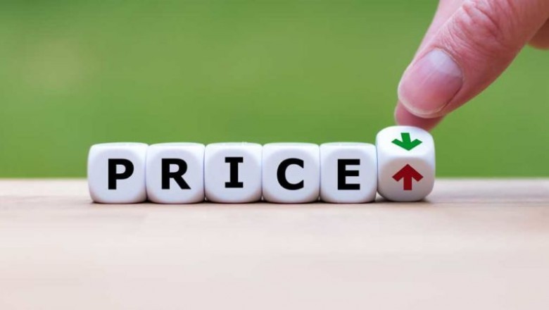 Professional Wedding Albums Intro to Pricing