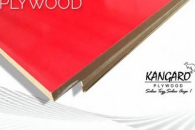 Best Film Faced Shuttering Plywood Manufacturers