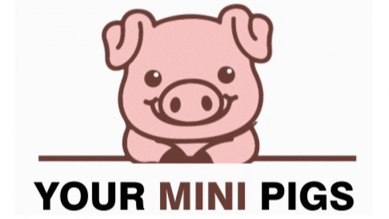 Your Mini Pigs | Buy Mini Pigs In Temecula | California Adorable Small Pigs
