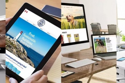 Graphic and Visual Design