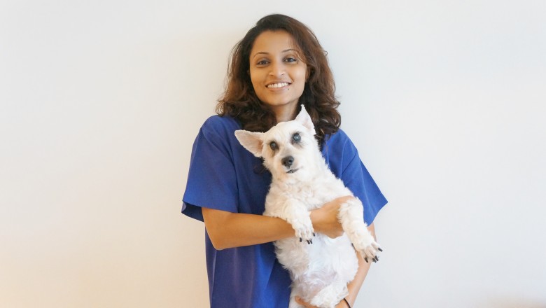 Everything You Need To Know About A Veterinary Dentist In Singapore For Your Pet