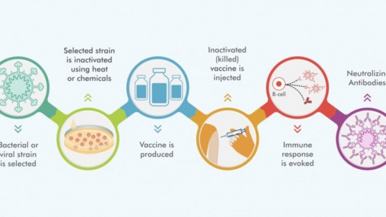 Inactivated Vaccine Market Size, Trends, Shares, Insights and Forecast – 2018-2026