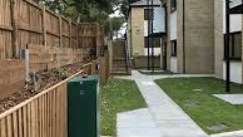 Selecting the correct Tree Surgeon