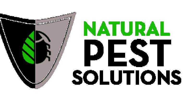 Pest Control Solution: A Short Overview