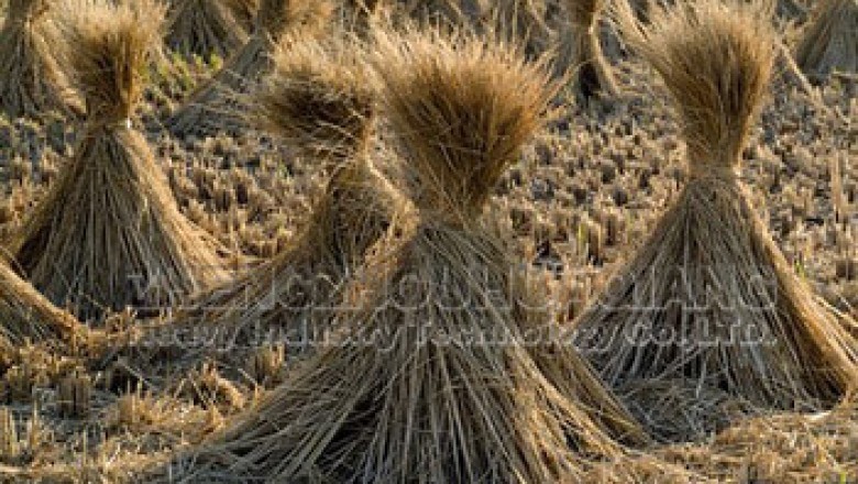 Method for making organic fertilizer from straw