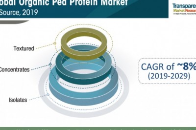 Organic Pea Protein Market to reach US$ 96 Mn by 2029