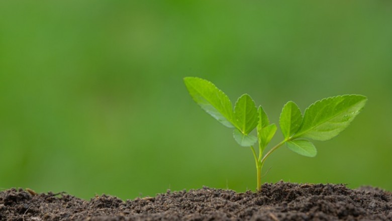 Agricultural Microbials contribute to the ability of crops to withstand biotic & abiotic stress and to reduce fertilizer usage