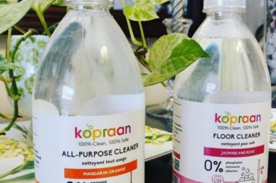 Spend Your Money on Procuring a Range of Natural Cleaning Products