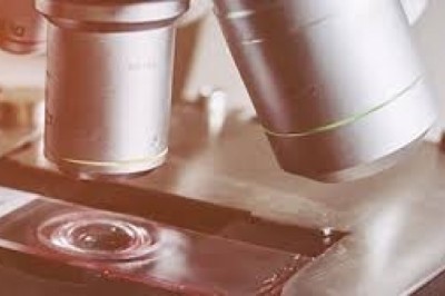 Anatomic Pathology Market Size, Share, Outlook, and Opportunity Analysis, 2019– 2027