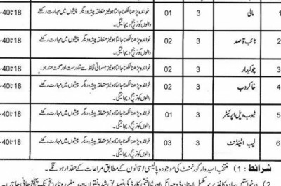 Govt Jobs In Degree College Brawl Dir Bala KPK 2021