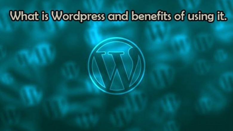 WordPress dominates a heavy range in the total number of websites