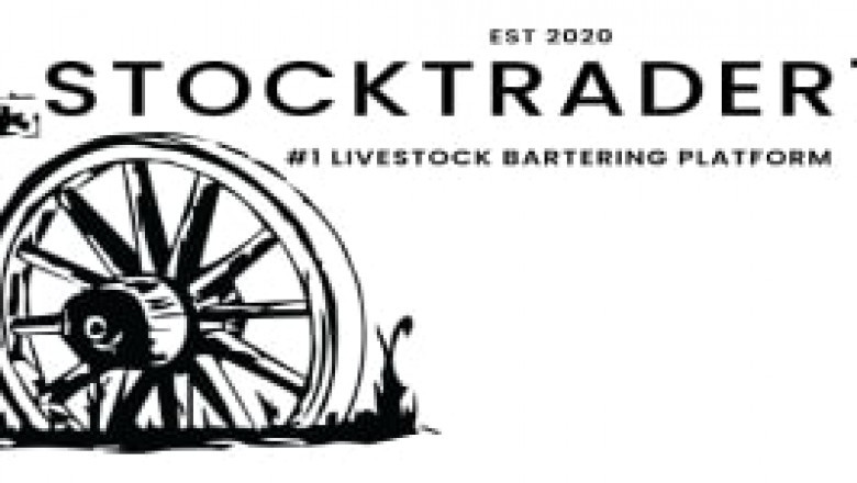 StockTrader101