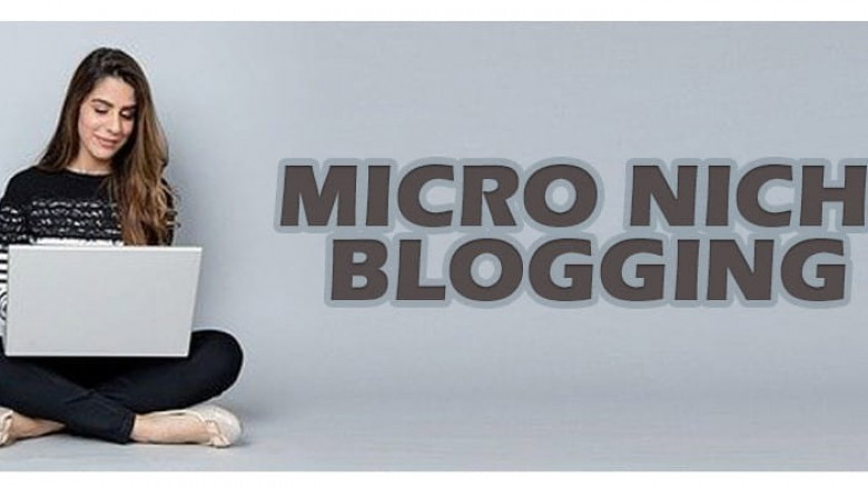 How to choose best micro niche for blogging in 2021?