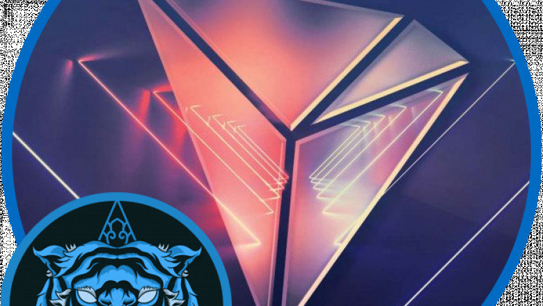 The Supersage Clone Script renders the benefits of peer to peer payments