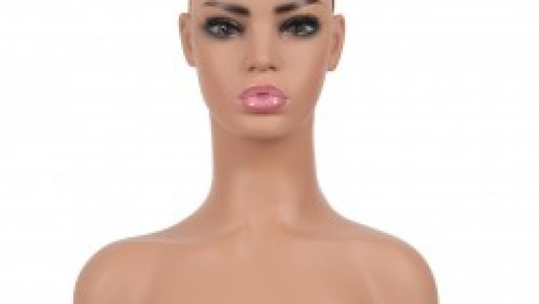 Head Model where to buy