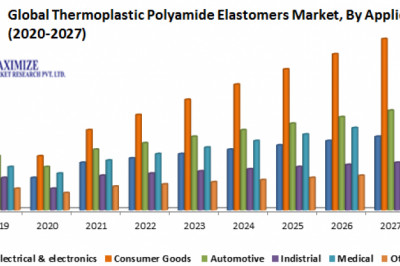 Global Thermoplastic Polyamide Elastomers Market-  Industry Analysis and Forecast (2020-2027)
