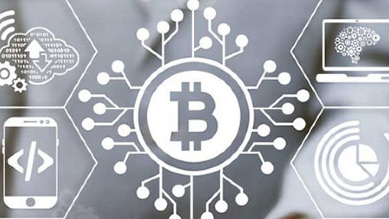 Discover a grow-oriented white label trading platform with us